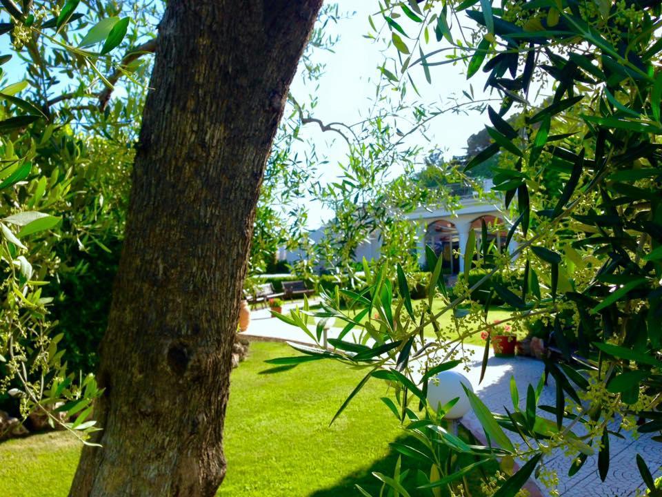 D'altavilla Hotel Canosa di Puglia